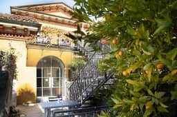 Apt Margherita - Image 3
