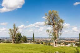 Villa Maddalena - Image 5