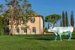 Villa Gavorrano - Image 5