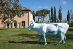 Villa Gavorrano - Image 4