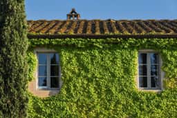 Villa Gavorrano - Image 2