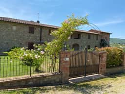 Ornelllaia - Image 3