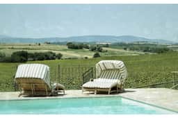 Sassicaia - Image 2