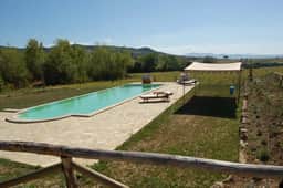 Sassicaia - Image 4