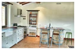 Sassicaia - Image 5