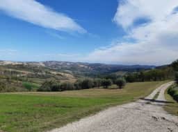Il Fienile - Image 5