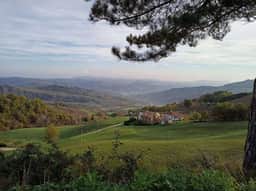The Hills - Image 4