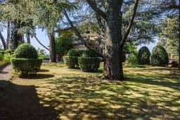 Villa Agnese - Image 5
