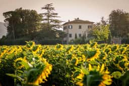 Villa Iva - Image 2