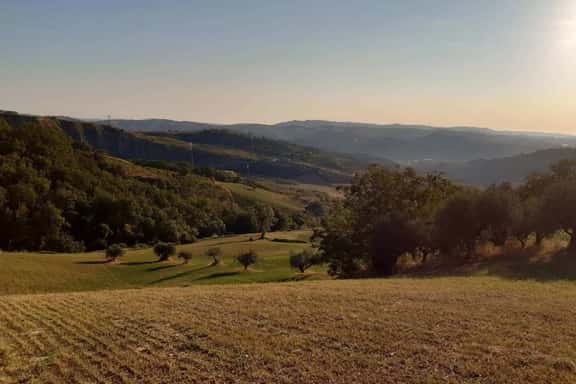 Campo di Grano - Image 1