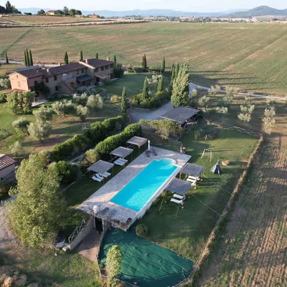 Sassicaia - Image 1