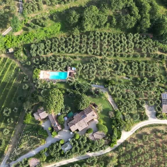 Villa Frantoio - Image 1