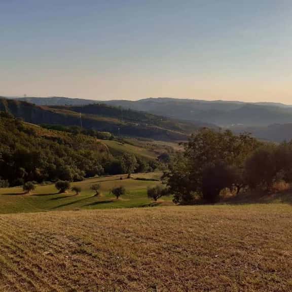 Campo di Grano - Image 1