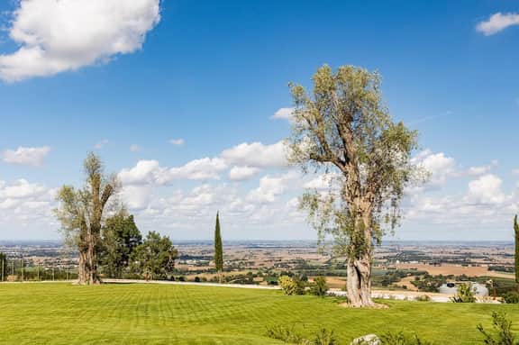 Villa Maddalena - Image 5