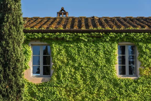 Villa Gavorrano - Image 2