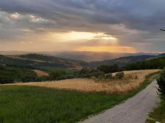 Apartment Frantoio - Image 5