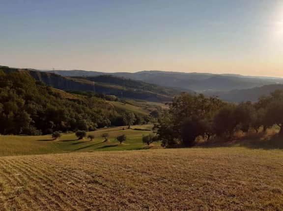 La Collina - Image 4