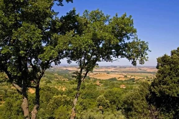 Apt Sangiovese - Image 4