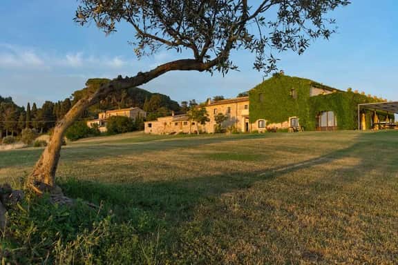 Villa Terriccio - Image 2