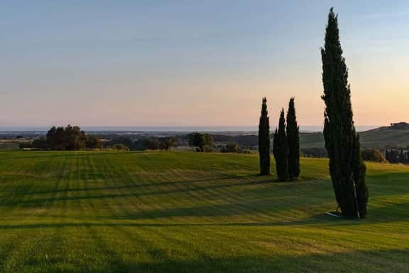 Villa Terriccio - Image 4