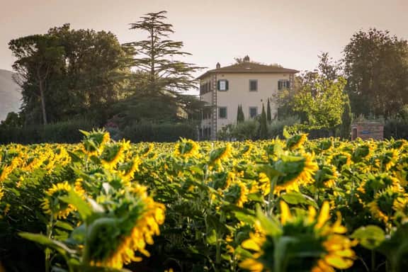 Villa Iva - Image 2